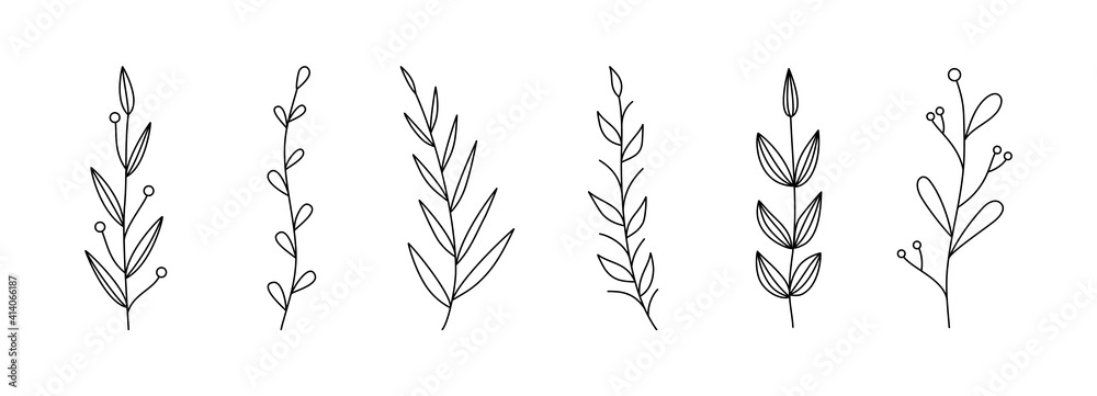 Fototapeta Botanical linear leaf set. Abstract minimalist leaves collection, creative herbal art. Vector illustration