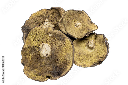 dried mushrooms on a white isolated background