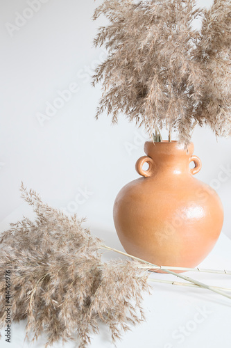 Terracotta pot with reeds photo