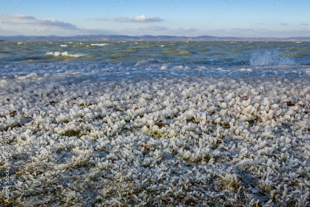 Grass on the shore in a water frost. Ice covered plants, small halm on a freezing lake shore in sunny winter day lit by the sun. Blue sky and waving water in the background.