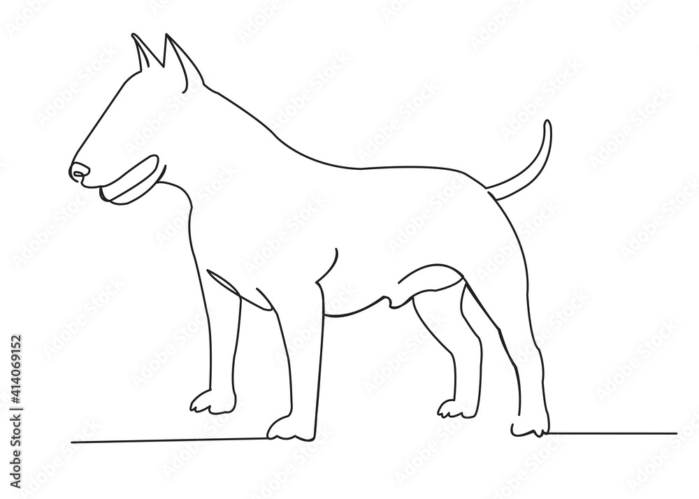 Fototapeta premium dog bob terrier