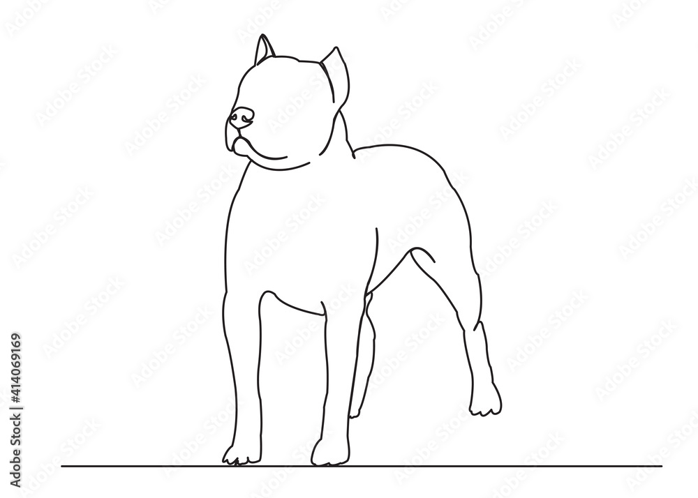 dog staff bull terrier dog staff bull terrier