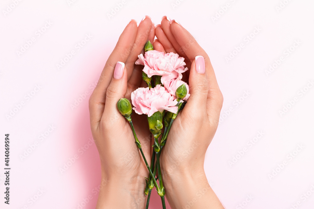 Female hands hold roses in the palms on a pink pastel background. Beauty and skin care concept.