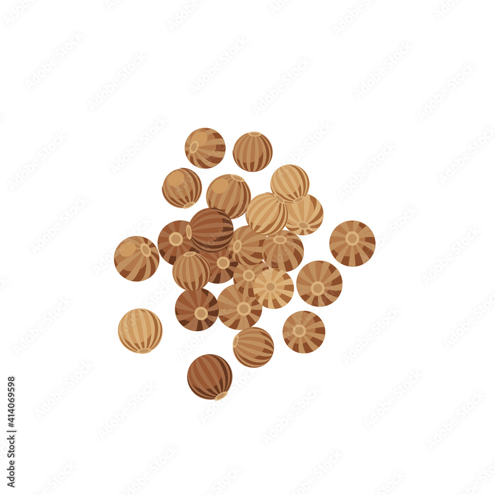 Dried coriander seeds. Spice for cooking. Vector illustration cartoon flaticon isolated on white background. Dried coriander seeds. Spice for cooking. Vector illustration cartoon flaticon isolated on white background.
