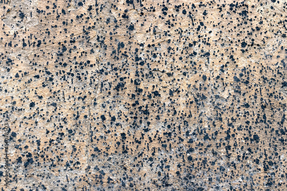 Fototapeta premium Small spots of black paint on a beige floor wall as a background, texture, pattern.