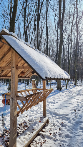 Karmnik dla dzikich zwierząt w lesie zimą. Dokarmianie zimą zwierząt © michalsen