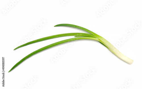 onion green vegetable