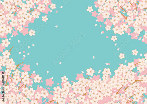 春の桜の花びらが舞う