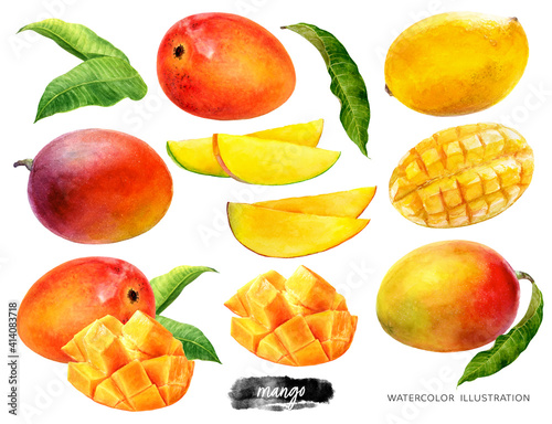 Mango set watercolor illustration isolated on white background