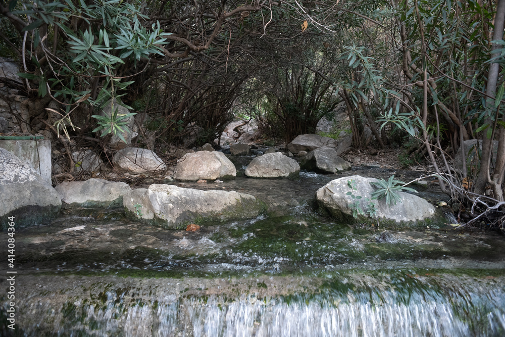 Fototapeta premium Nacimiento de agua de Istán 