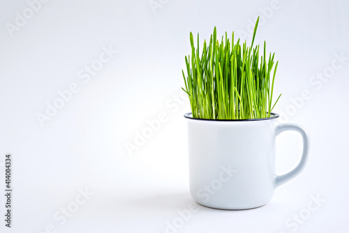 Green grass in a white mug.