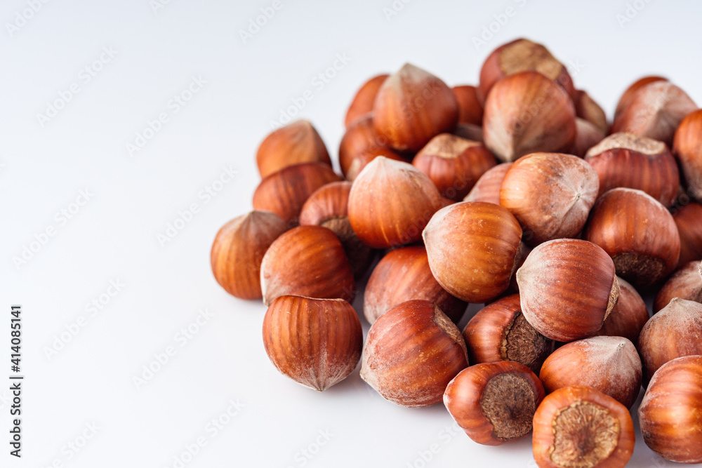 fresh natural hazelnuts on a white acrylic background