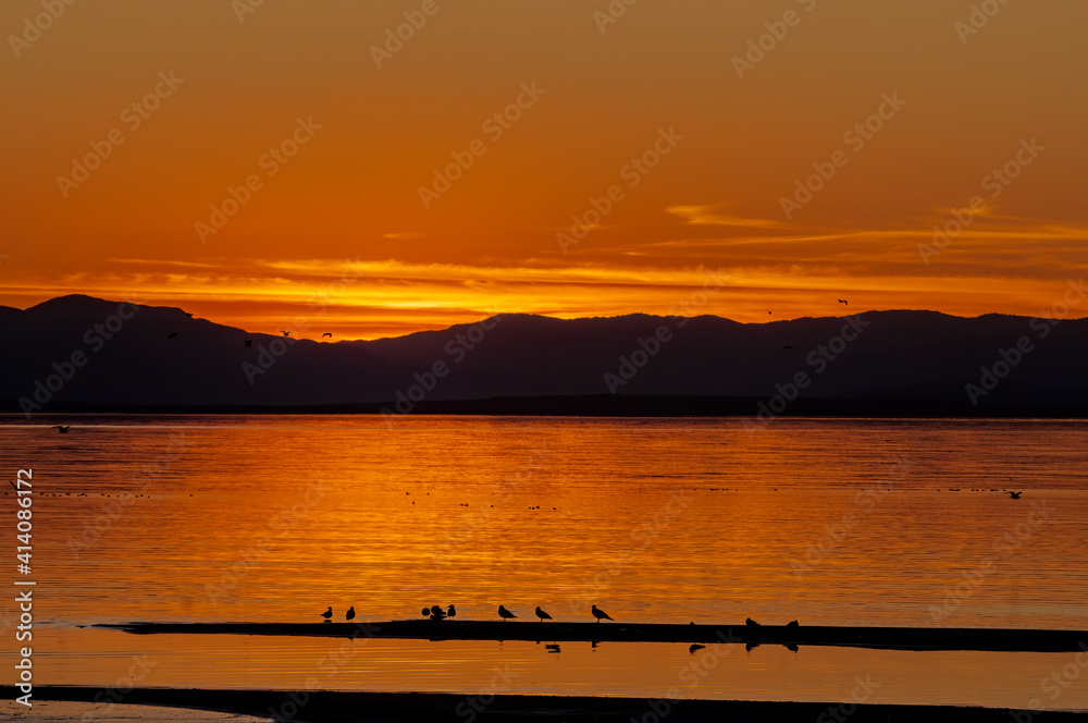 View of Salton Sea, Imperial Valley, California, USA