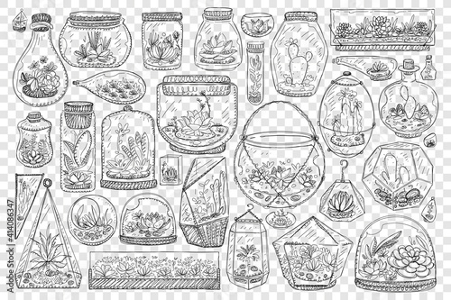 Jars for growing cactus doodle set. Collection of hand drawn glass jars and balls for keeping and growing plants cactus and japanese gardens isolated on transparent background