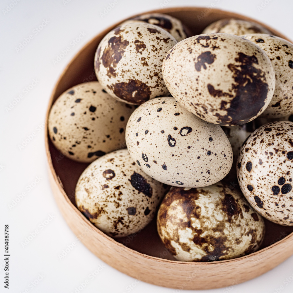 fresh quail eggs on a white acrylic background fresh quail eggs on a white acrylic background