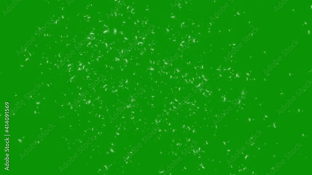 Flying dandelion seeds and pollen dust motion graphics with green screen background