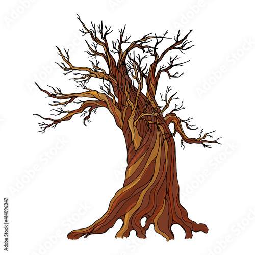 An old dry tree with long bare branches without leaves isolated on a white background. Vector illustration.