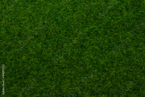 Green lawn background. Green grass.