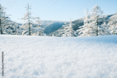 Vordergrund Schneeoberfläche und Hintergrund Wald © ohenze