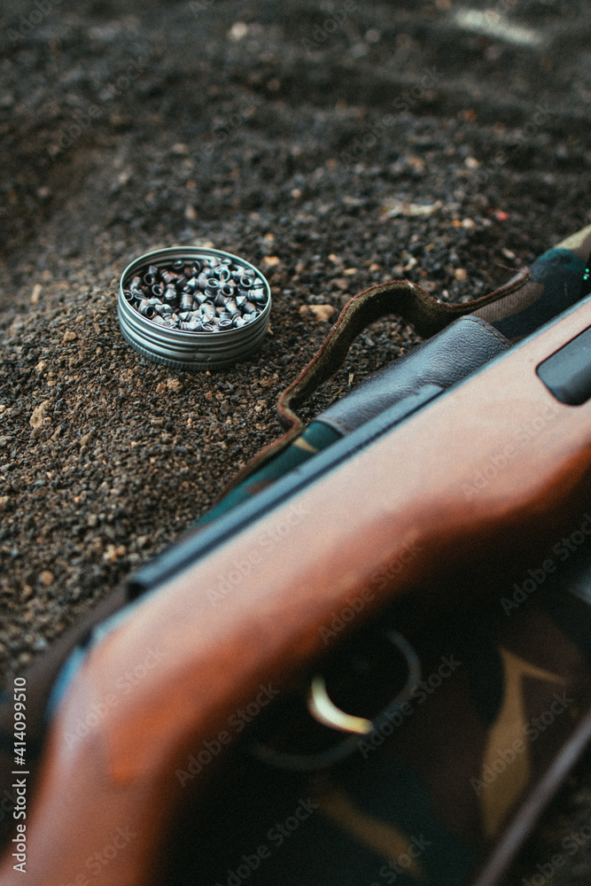 Caja de perdigones de plomo en el suelo con escopeta Stock Photo