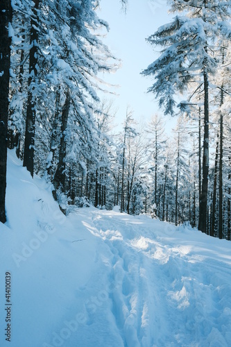Wanderung durch den kalten Winter Wald im Harz