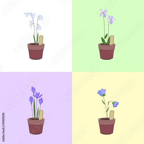 Set with different flowers. Different sorts and color.
