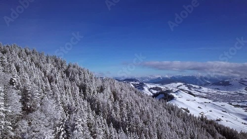 Bright sun shines on the snow and tree covered slopes of Hundwiler Hoehe, aerial push photo