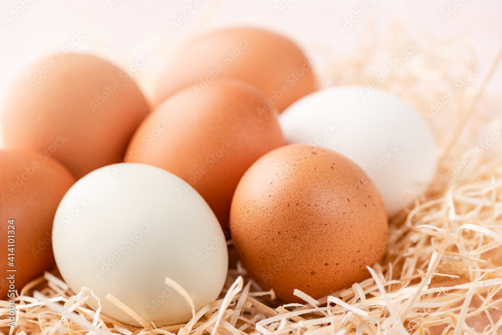Different color chicken eggs in nest closeup view Different color chicken eggs in nest closeup view