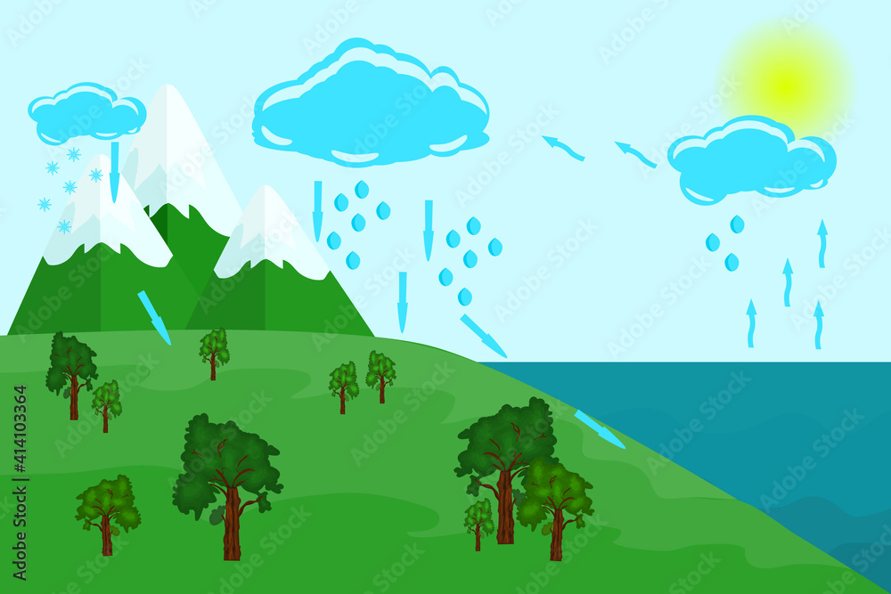 Water cycle in nature. Earth hydrologic process diagram. Environmental  circulation scheme with rain and snow precipitation, cloud condensation,  evaporation and runoff collection. Vector illustration vector de Stock |  Adobe Stock