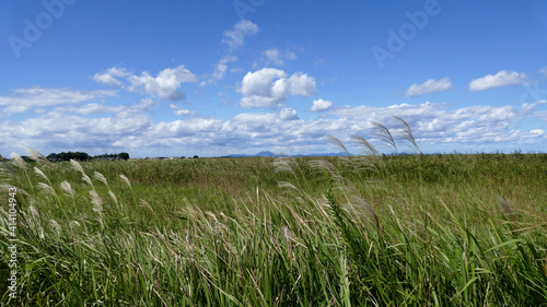 稲敷市西ノ洲より筑波山