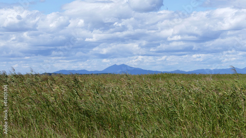 稲敷市西ノ洲より筑波山