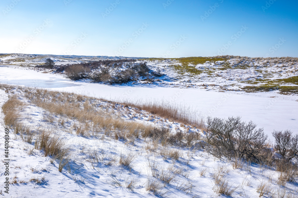 Snowy and ice winter landscape at the Amsterdamse Waterleidingduinen