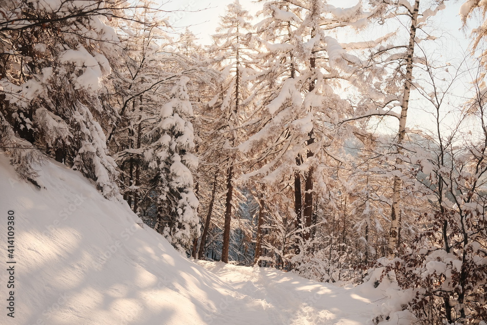 Obraz premium Wandern im Schnee