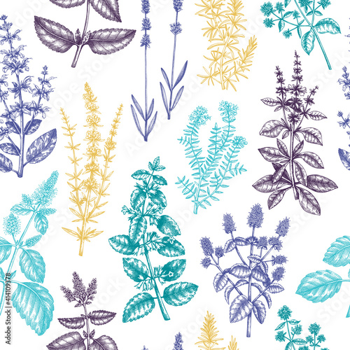 Mints and balms seamless pattern. Hand sketched aromatic and medicinal herbs background. Herbal tea ingredients. Mint plants in vintage style backdrop. For textile, wrapping, packaging.