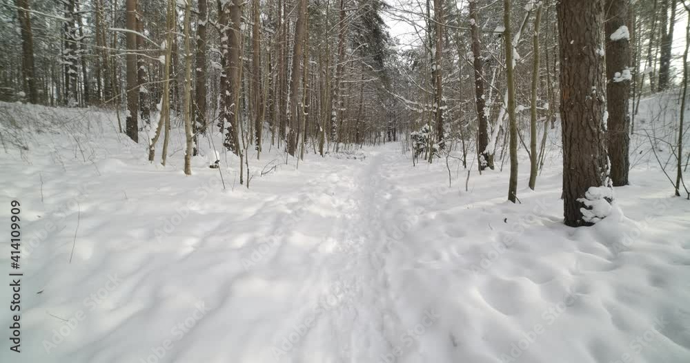 Forest Path Leading Deep into the Woods on a Cold and Snowy Winter Day Forest Path Leading Deep into the Woods on a Cold and Snowy Winter Day