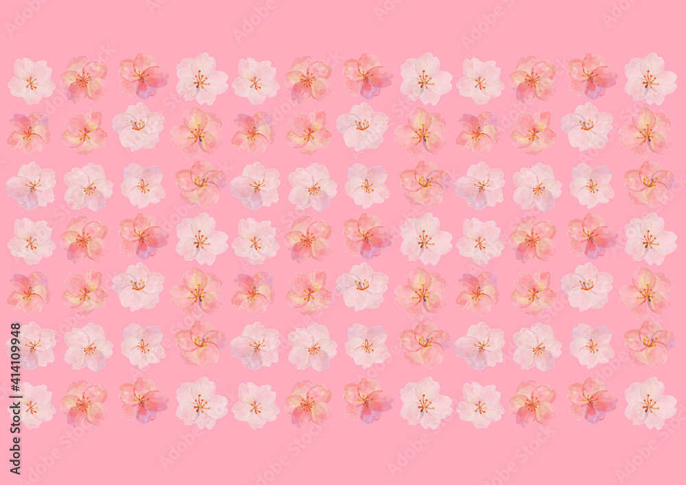 レトロな桜の背景素材　ソメイヨシノ　押絵　押花　和柄　和風イメージ　花見