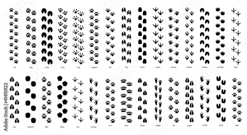 Animal footprint. Black silhouettes of paw prints of wild creatures. Step traces of tiger or crocodile, monkey and wolf. Educational collection for hunters and zoologists, vector set