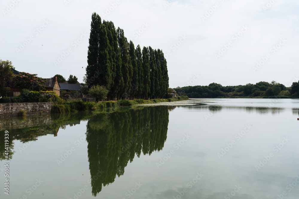 Row of poplars reflecting on the lake of Combourg, French Brittany