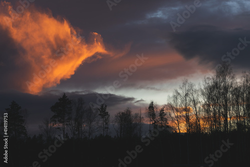 Golden hour with fire clouds. Beautiful sunset with trees.