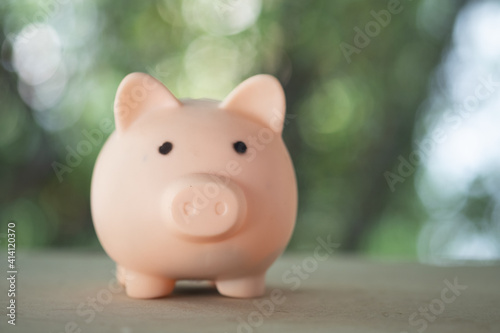 Piggy bank on wood table against nature blur background