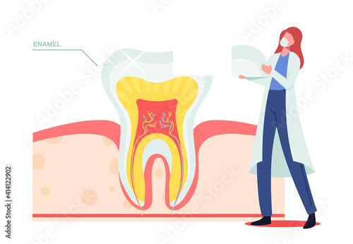 Tiny Dentist Female Doctor Character in Mask and White Robe Put Part of Enamel on Huge Tooth Cross Section View