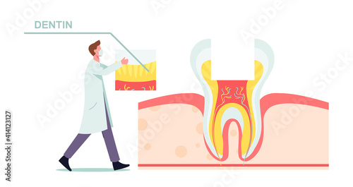 Healthy Teeth Anatomy and Structure Concept. Tiny Dentist Doctor in Mask and White Robe Put Part of Dentin on Huge Tooth