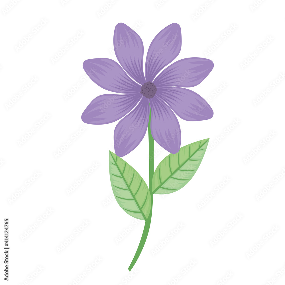 purple petals flower and leafs spring icon vector illustration design purple petals flower and leafs spring icon vector illustration design