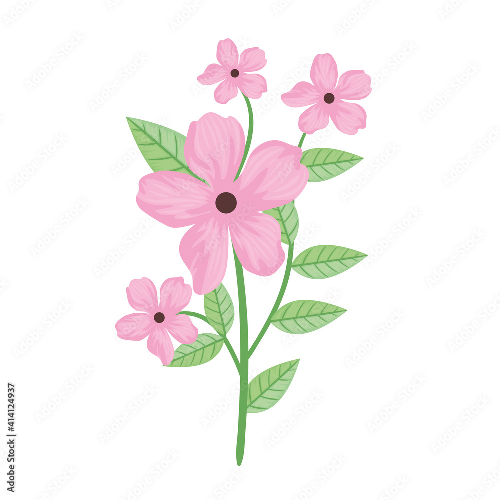 cute pink flowers and leafs spring icon vector illustration design