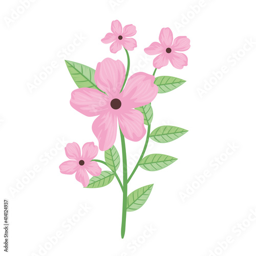 cute pink flowers and leafs spring icon vector illustration design