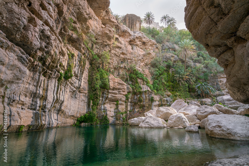 Beautiful natural pool in the gorge of Wadi Tiwi, Oman. Green water with sandstone cliffs and palm trees around it.