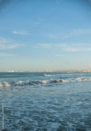 seascape during the golden hour