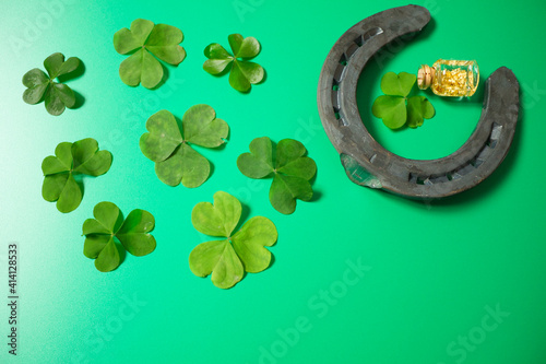 lucky horseshoe with group of three-leaf covers on green background