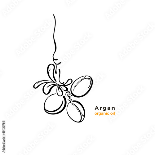 Argan tree label. Vector nut. Sketch illustration