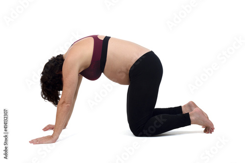 pregnant woman doing floor exercises on white background, cat pose